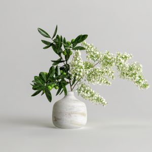 Ceramic Plant Pot